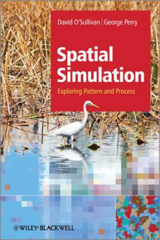 Könyv Spatial Simulation - Exploring Pattern and Process David O´Sullivan