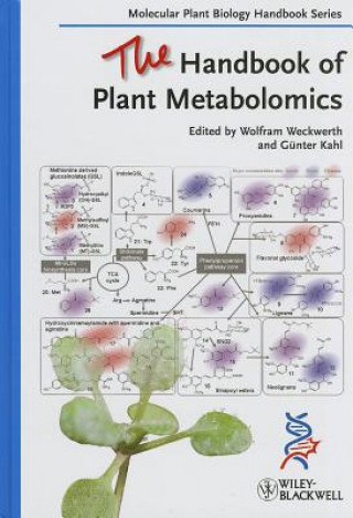 Könyv Handbook of Plant Metabolomics Wolfram Weckwerth