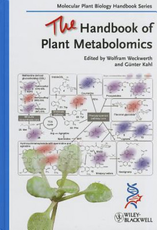 Książka Handbook of Plant Metabolomics Wolfram Weckwerth