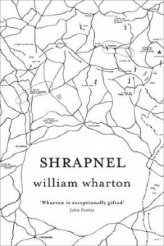 Книга Shrapnel William Wharton