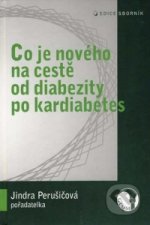 Kniha Co je nového na cestě od diabezity po kardiabetes Jindřiška Perušičová