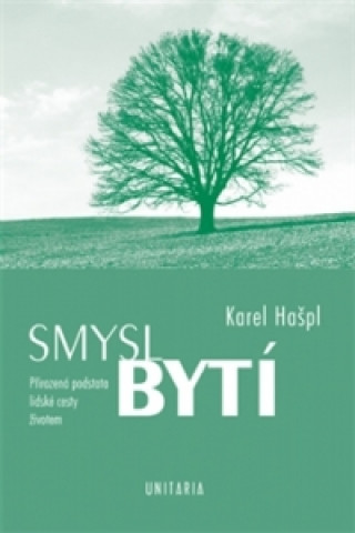 Book Smysl bytí Karel Hašpl