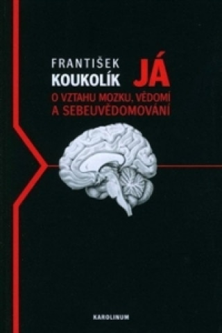 Kniha JÁ. O MOZKU, VĚDOMÍ A  SEBEUVĚDOMOVÁNÍ František Koukolík