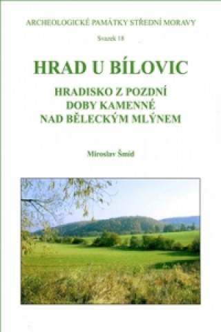 Könyv Hrad u Bílovic Miroslav Šmíd