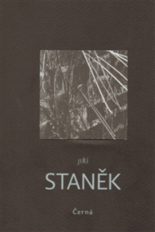 Книга Černá Jiří Staněk