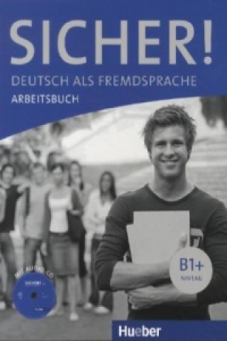 Knjiga Arbeitsbuch, m. Audio-CD Michaela Perlmann-Balme