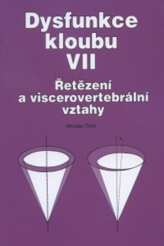Kniha Dysfunkce kloubu VII. Miroslav Tichý