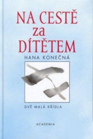 Kniha Na cestě za dítětem Hana Konečná