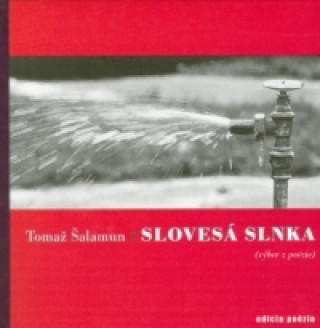 Könyv Slovesá slnka Tomaž Šalamun