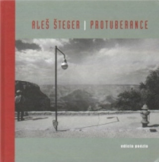 Book Protuberance Aleš Šteger