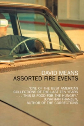 Book Assorted Fire Events David Means