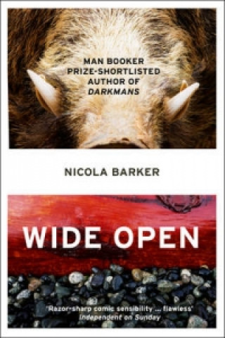 Kniha Wide Open Nicola Barker