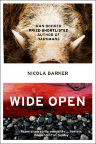 Книга Wide Open Nicola Barker