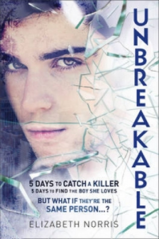 Book Unbreakable Elizabeth Norris