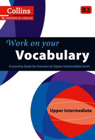 Könyv Vocabulary 