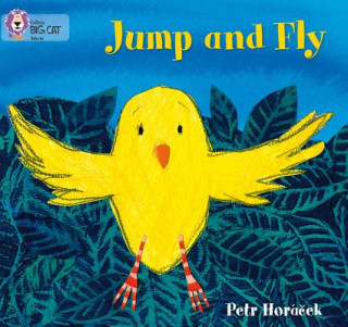 Kniha Jump and Fly Petr Horá?ek