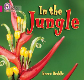 Kniha In the Jungle Becca Heddle