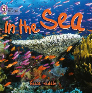 Buch In the Sea Becca Heddle