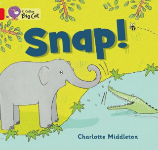 Livro Snap! Charlotte Middleton