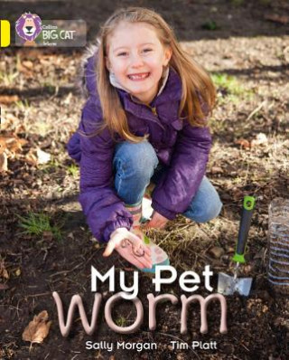 Book My Pet Worm Sally Morgan