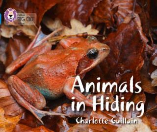 Kniha Animals in Hiding Charlotte Guillain