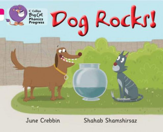 Könyv Dog Rocks! June Crebbin