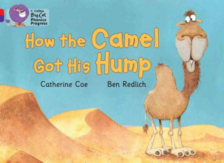 Kniha How the Camel Got His Hump Petr Horáček