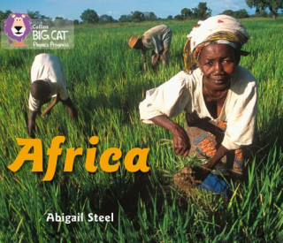 Kniha Africa Abigail Steel