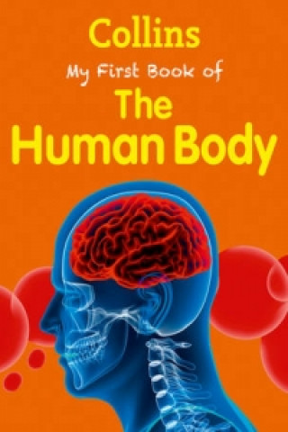 Kniha Collins My First Book of the Human Body 