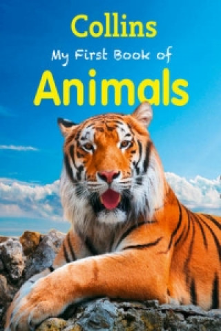 Kniha My First Book of Animals Collins