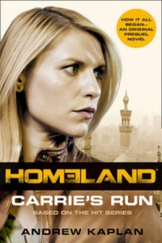 Buch Homeland Andrew Kaplan