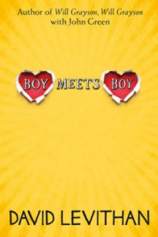 Book Boy Meets Boy David Levithan