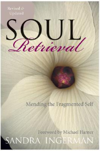 Book Soul Retrieval Sandra Ingerman