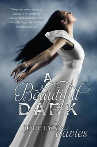 Könyv Beautiful Dark Jocelyn Davies
