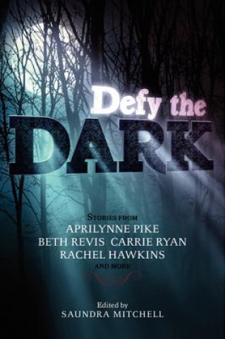 Βιβλίο Defy the Dark Saundra Mitchell