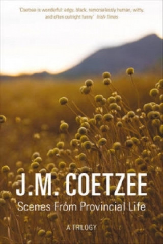 Kniha Scenes from Provincial Life J M Coetzee