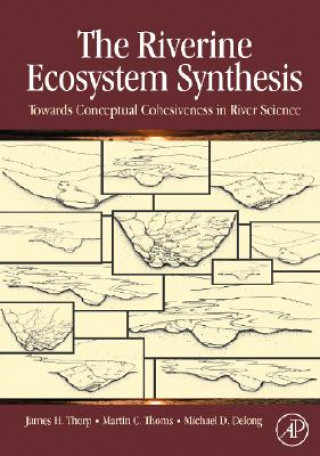 Könyv Riverine Ecosystem Synthesis James H Thorp