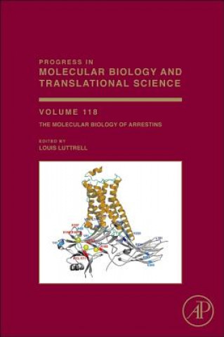 Könyv Molecular Biology of Arrestins Louis M Luttrell