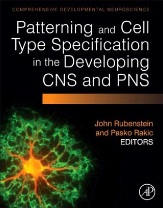 Kniha Patterning and Cell Type Specification in the Developing CNS John Rubenstein