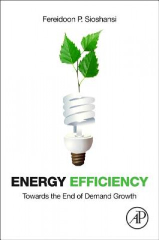 Buch Energy Efficiency Fereidoon Sioshansi