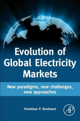 Kniha Evolution of Global Electricity Markets Fereidoon Sioshansi