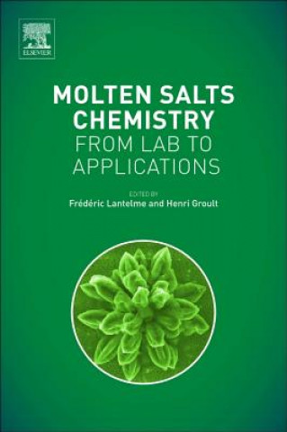 Kniha Molten Salts Chemistry Frederic Lantelme