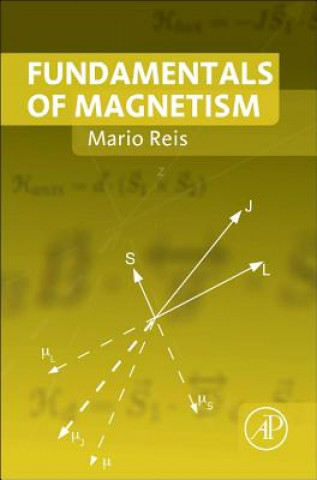 Carte Fundamentals of Magnetism Mario Reis