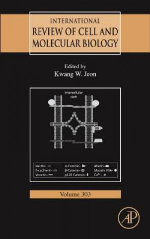 Könyv International Review of Cell and Molecular Biology Kwang Jeon