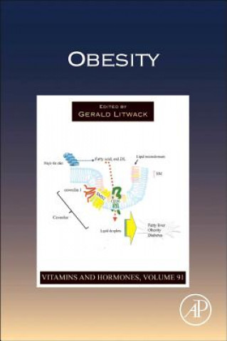 Libro Obesity Gerald Litwack