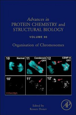 Kniha Organisation of Chromosomes Rossen Donev