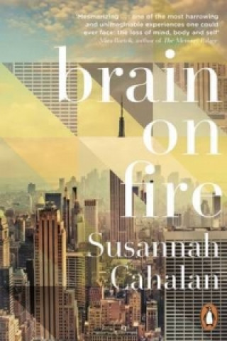 Book Brain On Fire: My Month of Madness Susannah Cahalan