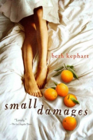 Knjiga Small Damages Beth Kephart