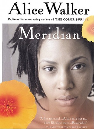 Könyv Meridian Alice Walker
