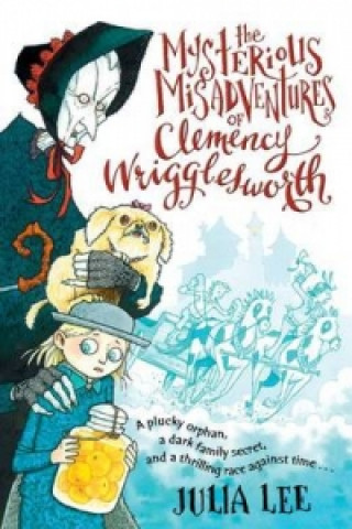 Book Mysterious Misadventures of Clemency Wrigglesworth Julia Lee